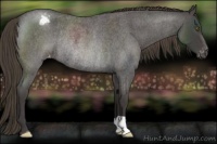 Horse Color:Smoky Blue Roan Varnish Rabicano 