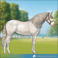 Horse Color:Smoky Creme 