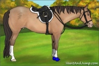 Horse Color:Amber Champagne 
