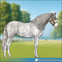 Horse Color:Silver Smoky Blue Roan Sabino 