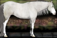 Horse Color:Smoky Grullo Roan Sabino