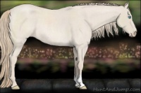 Horse Color:Smoky Creme Roan Rabicano 