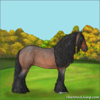 Horse Color:Bay Roan 