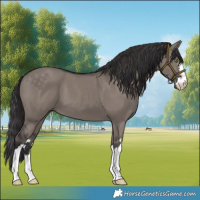 Horse Color:Smoky Grullo 