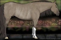 Horse Color:Smoky Grullo Rabicano 