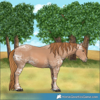 Horse Color:Chestnut Ice 