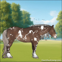 Horse Color:White Spotted Silver Brown Sabino Rabicano 