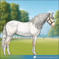 Horse Color:Silver Smoky Grullo Roan Pearl Rabicano