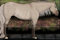 Horse Color:Silver Grullo Roan Rabicano 