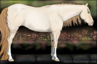 Horse Color:Smoky Grullo Roan Pearl Rabicano 