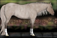 Horse Color:Silver Grullo Roan Rabicano 