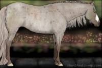 Horse Color:Silver Grullo Roan Rabicano 