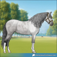 Horse Color:Grullo Roan Rabicano 