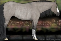 Horse Color:Grullo Roan Rabicano