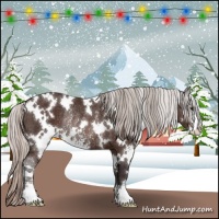 Horse Color:White Spotted Silver Brown Sabino Rabicano