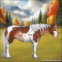Horse Color:Silver Brown Sabino Tobiano Rabicano 