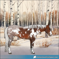 Horse Color:White Spotted Silver Brown Rabicano 