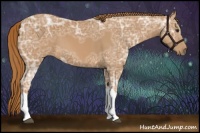 Horse Color:Chestnut Ice 