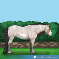 Horse Color:Bay Ice Roan Frame 