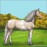 Horse Color:Silver Blue Roan Pearl Tobiano Frame 