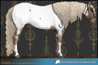 Horse Color:Chocolate Palomino Near Fewspot 