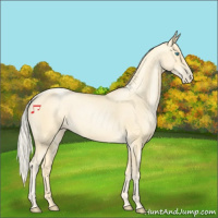 Horse Color:Palomino Pearl 
