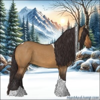Horse Color:Buckskin Dun Tobiano 