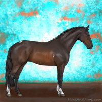 Horse Color:Buckskin Tobiano 