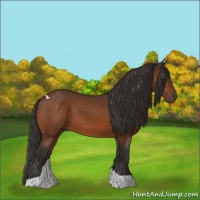 Horse Color:Buckskin Tobiano 