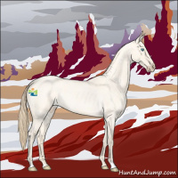 Horse Color:Perlino Roan Dun 