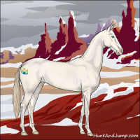 Horse Color:Perlino Roan Dun 
