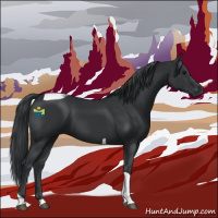 Horse Color:Black Tobiano 