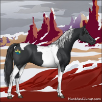Horse Color:Black Tobiano 