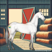 Horse Color:Gray Buckskin 