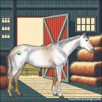 Horse Color:Gray Palomino 