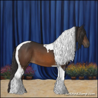 Horse Color:Buckskin Tobiano 