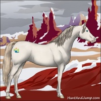 Horse Color:Smoky Creme Roan Dun 