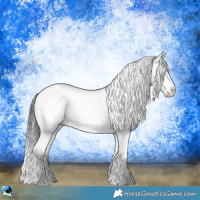 Horse Color:Brown Sabino Rabicano 