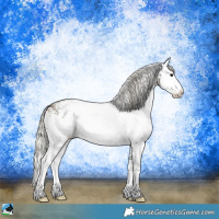 Horse Color:White Spotted Silver Buckskin Sabino Splash Rabicano 