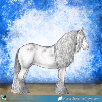 Horse Color:Brown Dun Sabino Splash Rabicano 