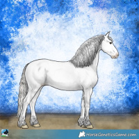 Horse Color:Silver Brown Ice Splash Tobiano Appaloosa Rabicano 