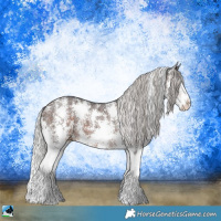 Horse Color:Silver Brown Sabino Splash Rabicano 