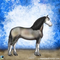 Horse Color:Blue Onyx Sabino Splash Rabicano