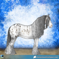 Horse Color:Brown Ice Onyx Sabino Splash Appaloosa 