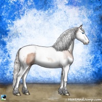 Horse Color:Silver Bay Sabino Splash Tobiano Rabicano 
