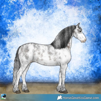 Horse Color:Brown Sabino Rabicano 