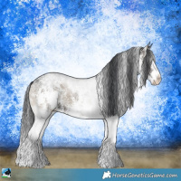 Horse Color:Blue Onyx Sabino Splash 