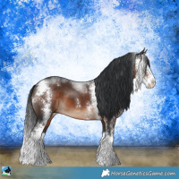 Horse Color:Brown Sabino Splash 