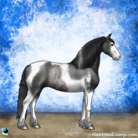 Horse Color:Brown Sabino Tobiano Rabicano