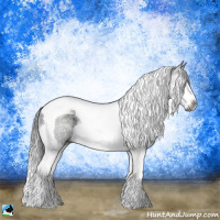 Horse Color:Gray Brown Ice Sabino Splash Tobiano Rabicano 